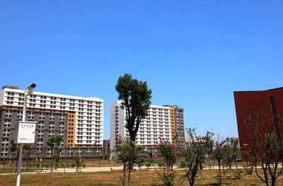 網絡工程專升本 探索計算機軟件與網絡應用技術的融合開發